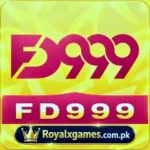 fd999 Game